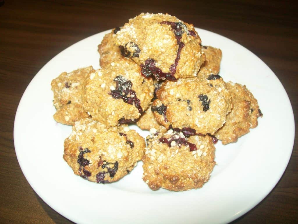 Muffins integrales de yogurt y arándanos Recetas